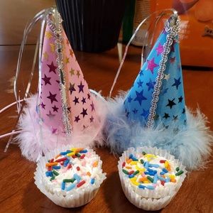 Small Dog/ Cat Party Hats!